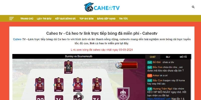 Khám phá về quá trình thành lập của trang web Caheo TV