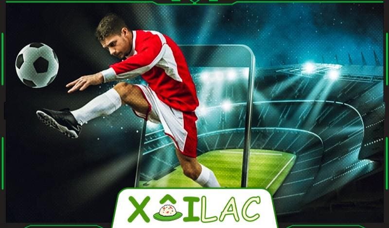 Cách tải app xem trực tiếp bóng đá trên điện thoại