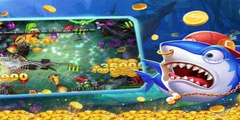 Hiểu rõ các cấp độ chơi
