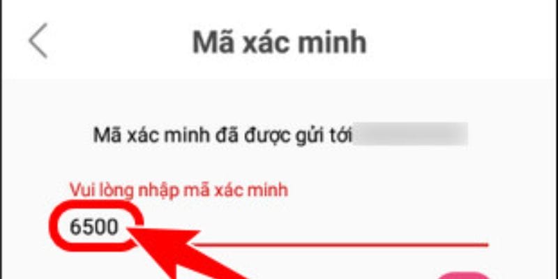 Cần chú ý những gì khi nhập mã xác thực của MMLIVE Cần chú ý những gì khi nhập mã xác thực của MMLIVE