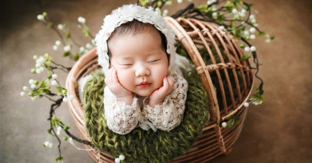 Sự nghiệp của người tên Thanh Anh như thế nào?