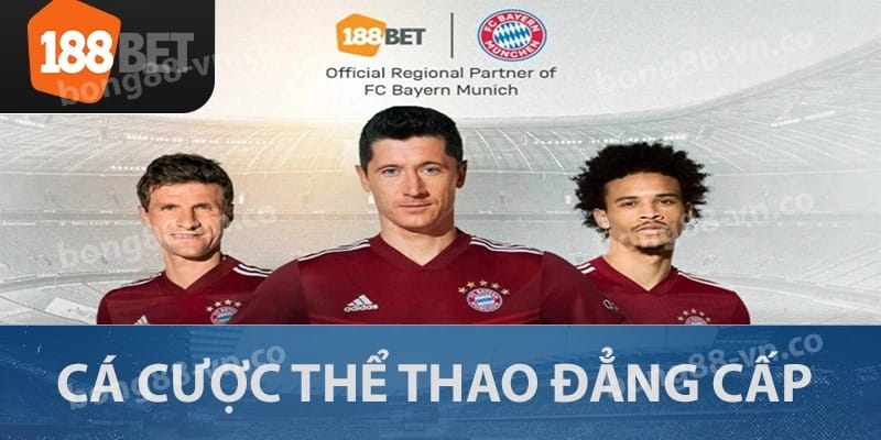 Thể thao - Sảnh game ăn khách tại 188Bet Thể thao - Sảnh game ăn khách tại 188Bet