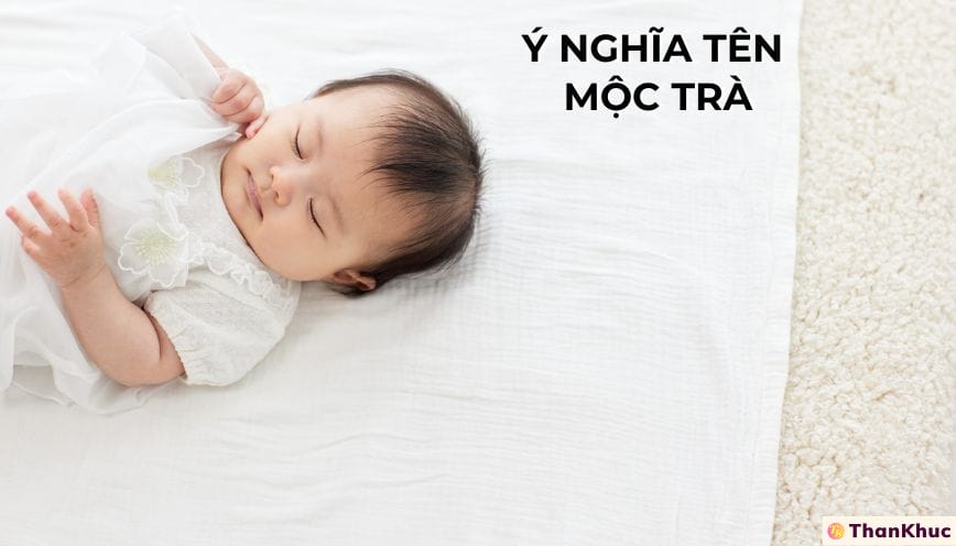 Ý nghĩa tên Mộc Trà - Tính Cách, Sự Nghiệp và Tình Duyên
