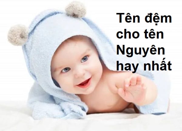 Ý nghĩa tên Hải Nguyên là gì