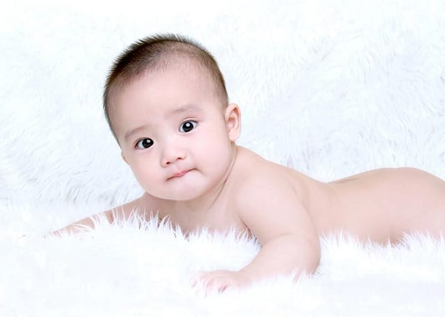 Hoàng Long là biểu tượng cho sức mạnh