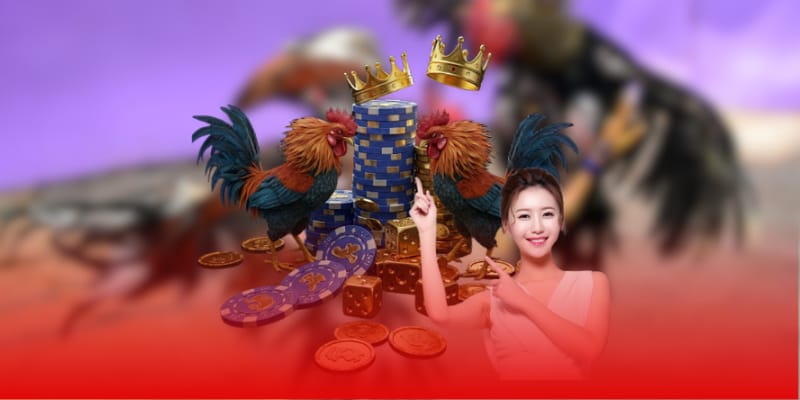 Khuyến mãi sinh nhật vàng cho thành viên Khuyến mãi sinh nhật vàng cho thành viên