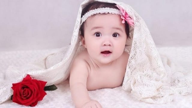 Tú Quỳnh nên phát huy tài năng gì?
