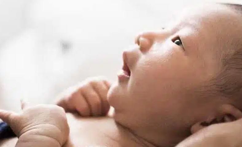 Ý nghĩa tên Diễm Quỳnh - Tên hay - ý nghĩa cho bé gái nhà bạn