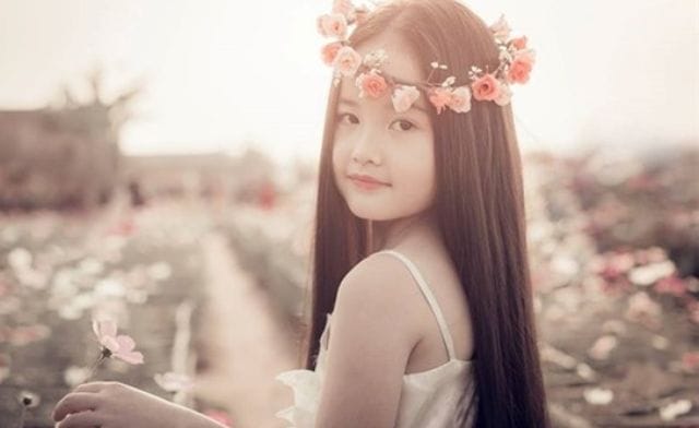 Ý nghĩa tên Tuệ Tâm là gì theo nghĩa Hán Việt?