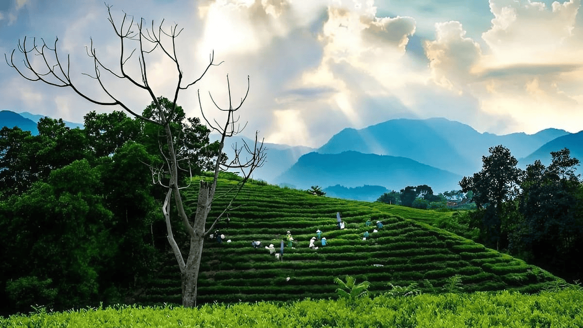 Cùng Ngắm Nhìn Những Khoảnh Khắc Cứu Trợ Ngập Tràn Tình Người Tại Thái Nguyên!