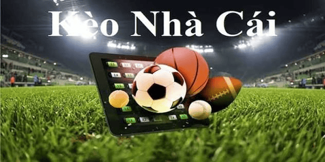 Hiểu rõ bản chất của tỷ lệ cược trước khi bắt đầu soi kèo nhà cái